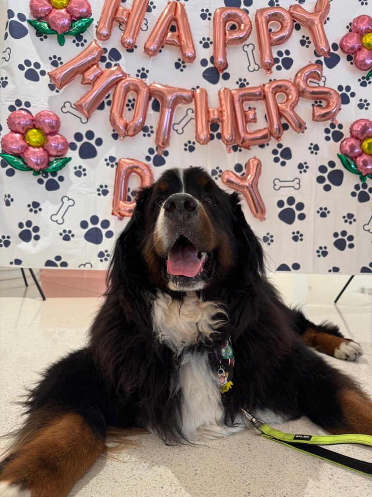 2025 Mothers Day Celebration with Apollo at Nicklaus Children's Hospital / May 7