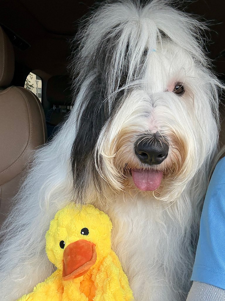 2025 Thor Birthday Calebration at Nicklaus Children’s Hospital / May 1